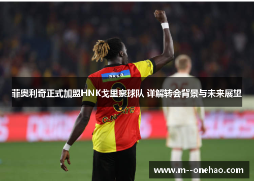 菲奥利奇正式加盟HNK戈里察球队 详解转会背景与未来展望