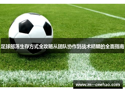 足球部落生存方式全攻略从团队协作到战术精髓的全面指南