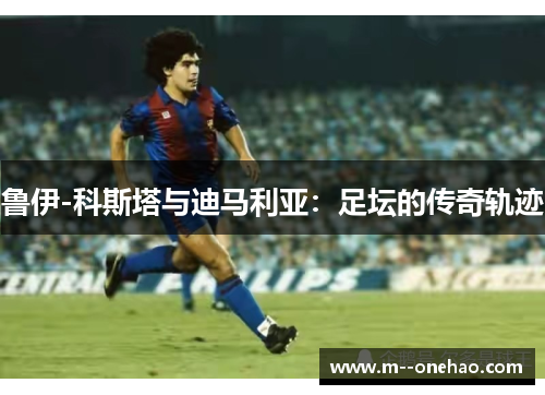 鲁伊-科斯塔与迪马利亚：足坛的传奇轨迹